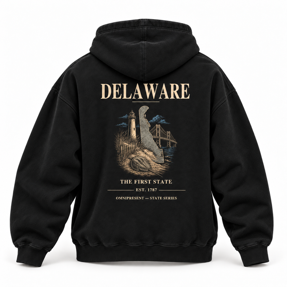 Delaware Edition black Hoodie back view on white background