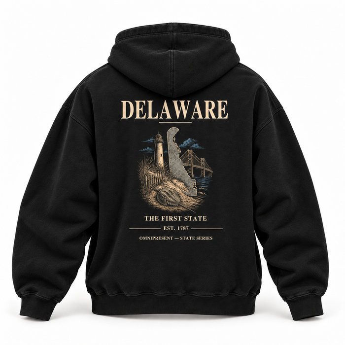 Delaware Edition black Hoodie back view on white background