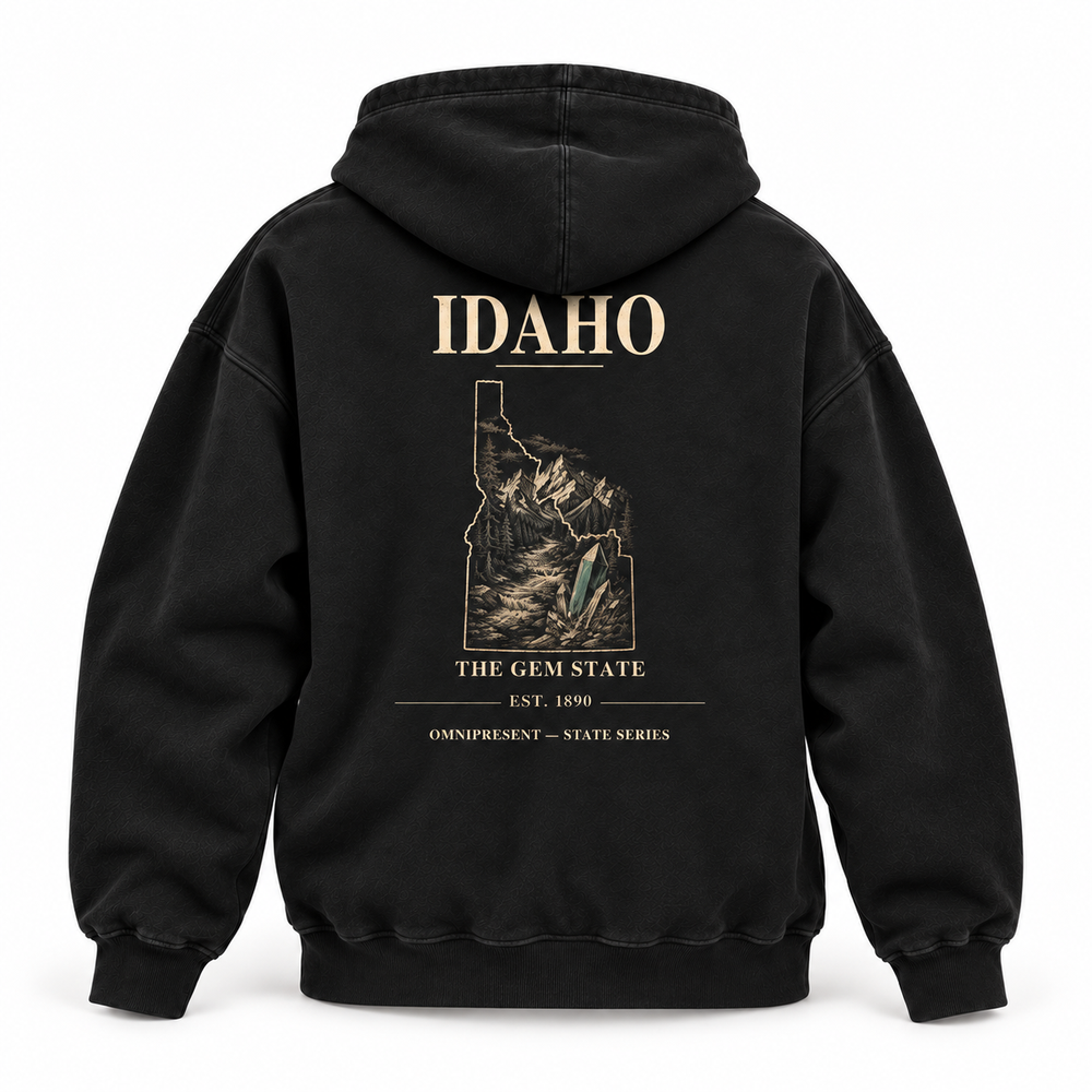 Idaho Edition black Hoodie back view on white background