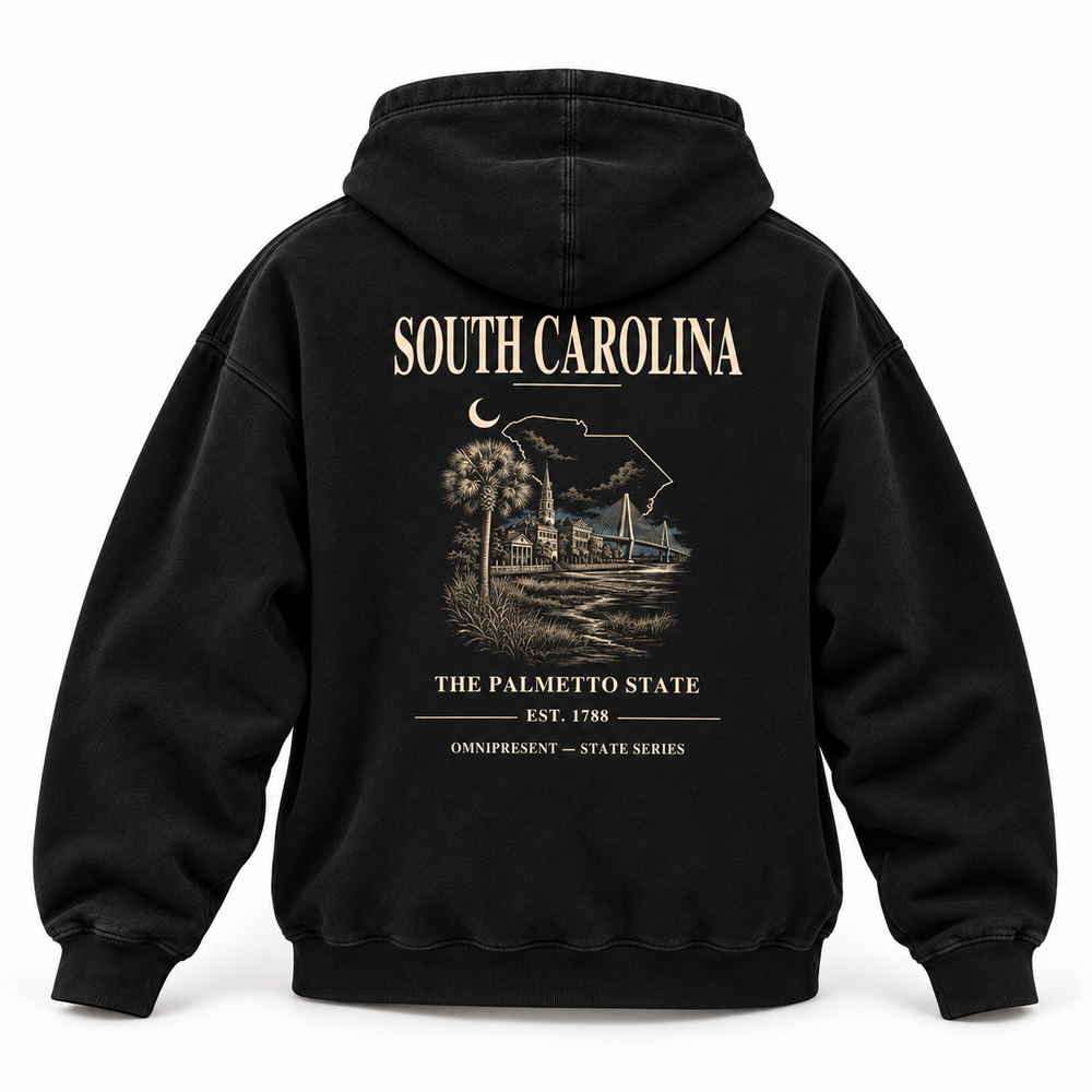 South Carolina Edition black Hoodie back view on white background